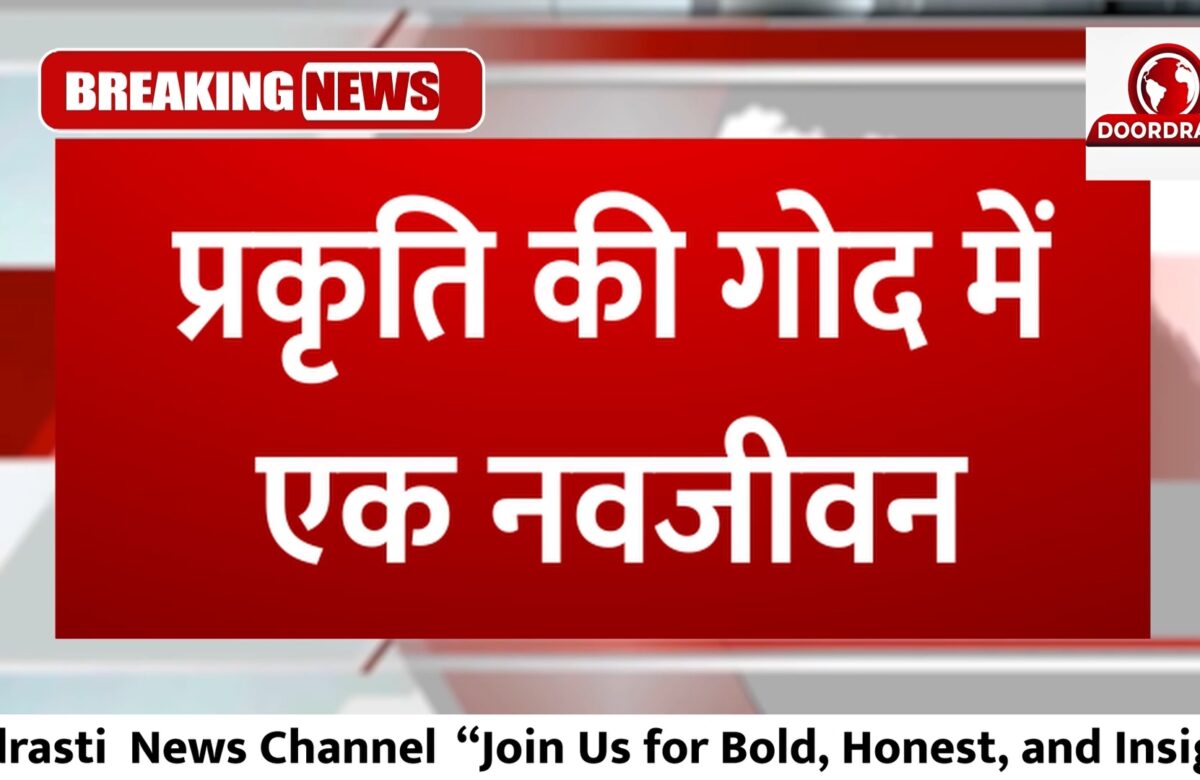 प्रकृति की गोद में, एक नवजीवन