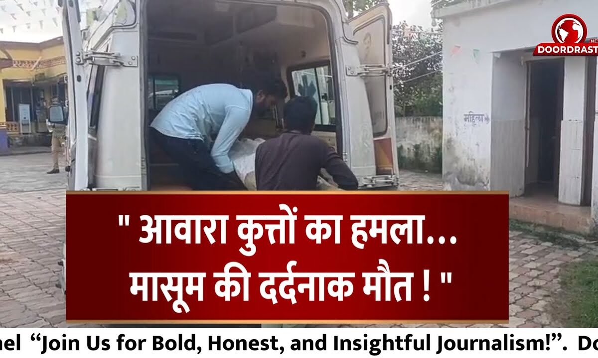 आवारा कुत्तों का हमला… मासूम की दर्दनाक मौत !