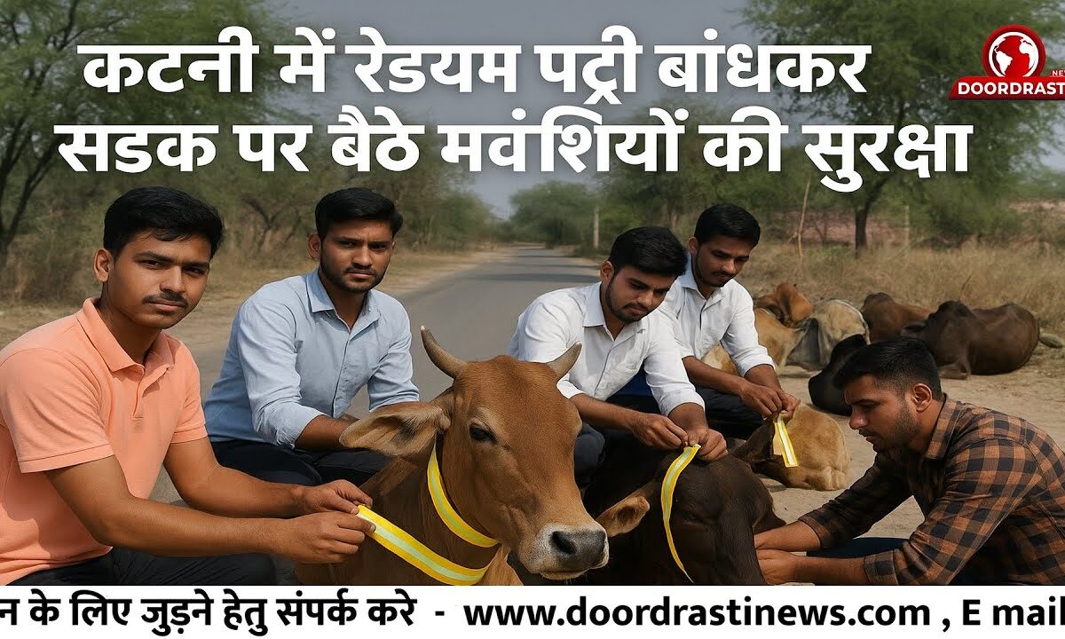 रात में सुरक्षित सड़कें – गऊ सेवा समिति की अनोखी पहल