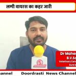 लम्पी वायरस का कहर जारी