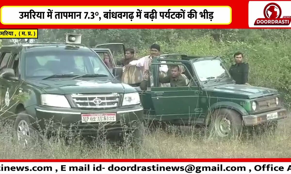 उमरिया में तापमान 7.3°, बांधवगढ़ में बढ़ी पर्यटकों की भीड़