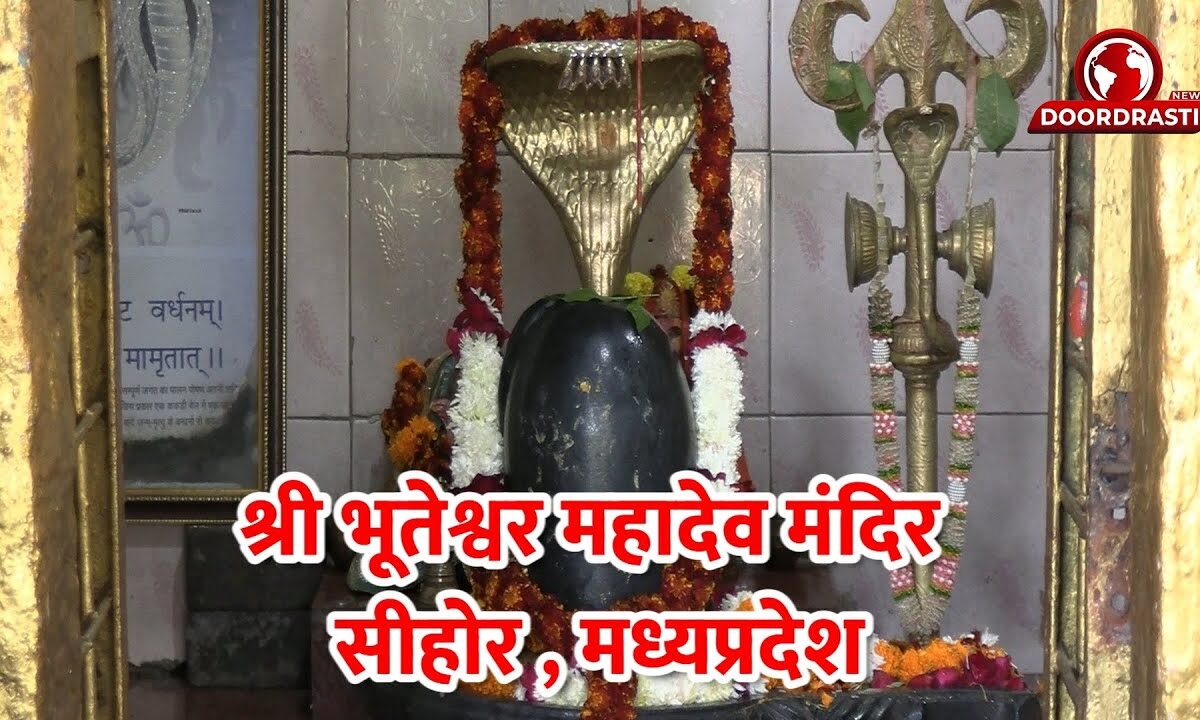 पंडित नितिन राठौड़ श्री भूतेश्वर महादेव मंदिर , सीहोर , मध्य प्रदेश