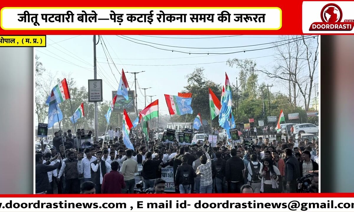 जीतू पटवारी बोले—पेड़ कटाई रोकना समय की जरूरत