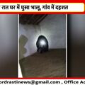 आधी रात घर में घुसा भालू, गांव में दहशत