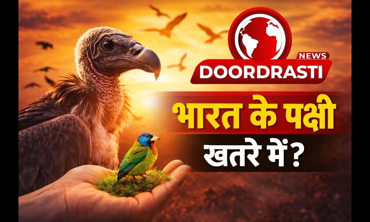 “भारत के पक्षी मर रहे हैं — और हम चुप हैं।”