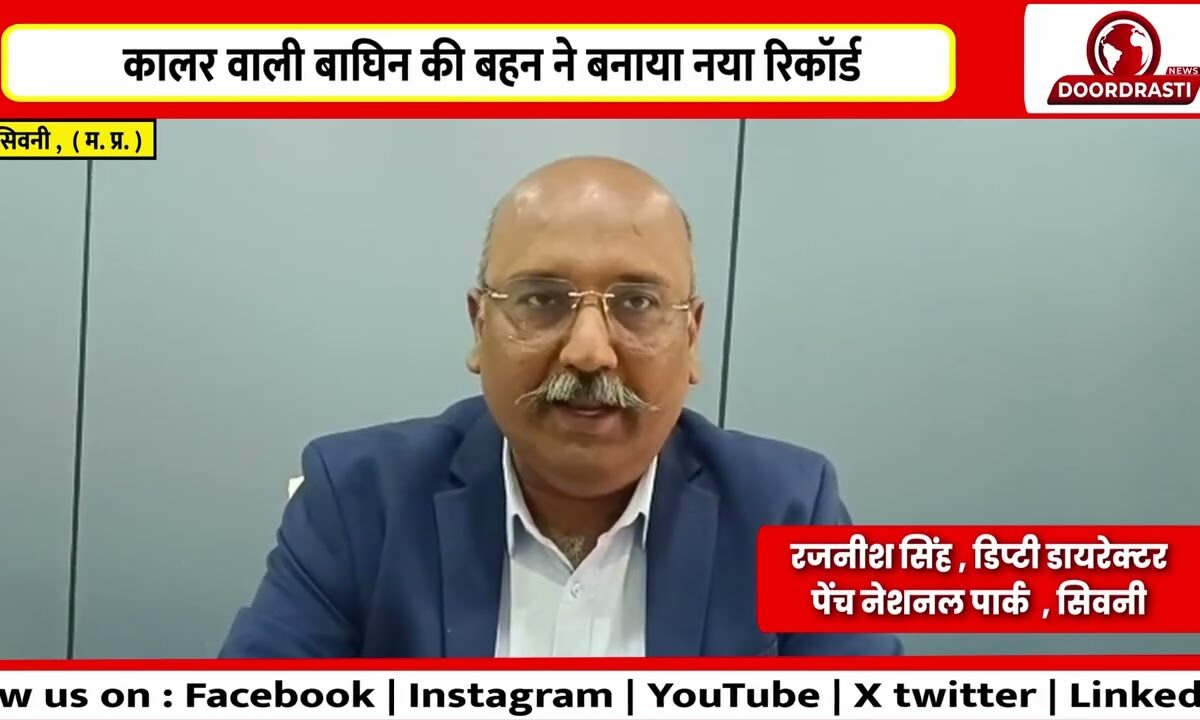 18 साल की ‘लंगड़ी बाघिन’ बनी पेंच की सबसे उम्रदराज बाघिन