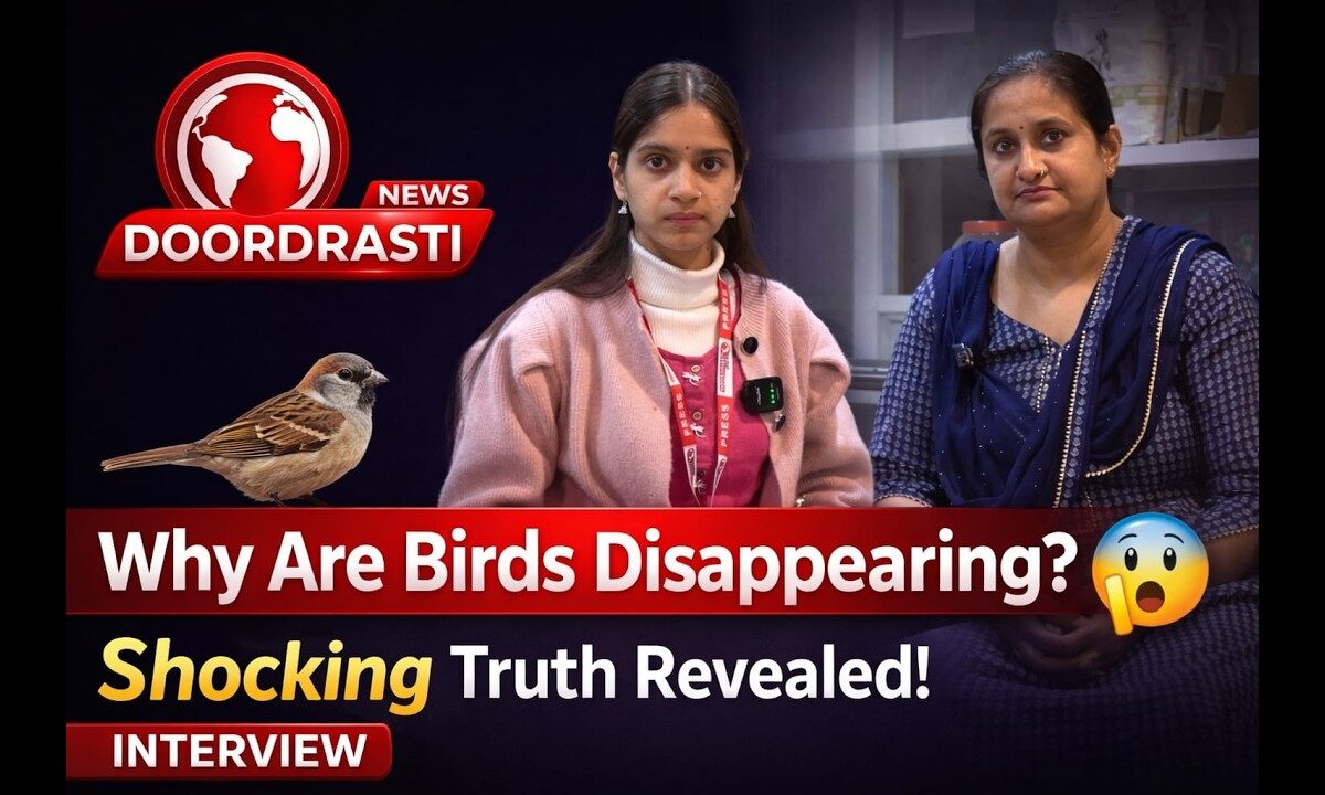 Why Are Birds Disappearing? 😨 Shocking Truth Revealed!