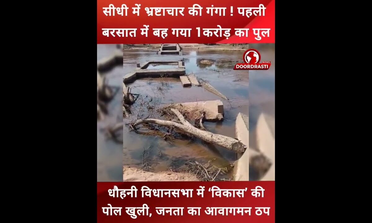 सीधी में भ्रष्टाचार की गंगा! पहली बरसात में बह गया 1 करोड़ का पुल #sidhi #mpnews #doordrastinews