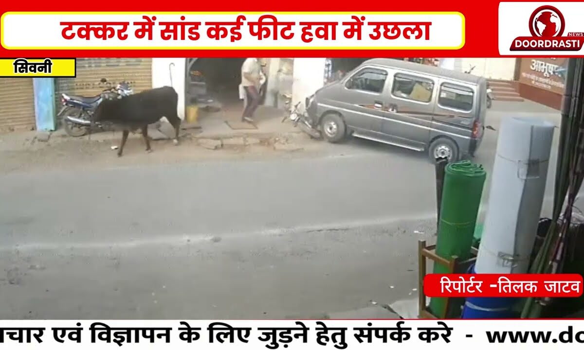 ब्रेक फेल कार का कहर : सांड को हवा में उछाला, CCTV में कैद खौफनाक मंजर..