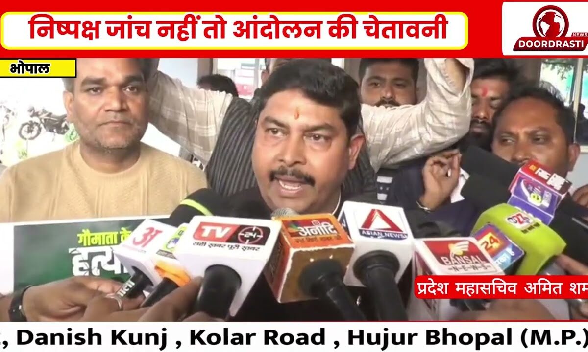 गौ-हत्या प्रकरण में बड़ी सियासत! कांग्रेस ने SIT पर लगाए लापरवाही के आरोप