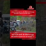 बांधवगढ़ में बाघ के सामने लोगों की लापरवाही | क्या हादसे का इंतजार कर रहा प्रबंधन?