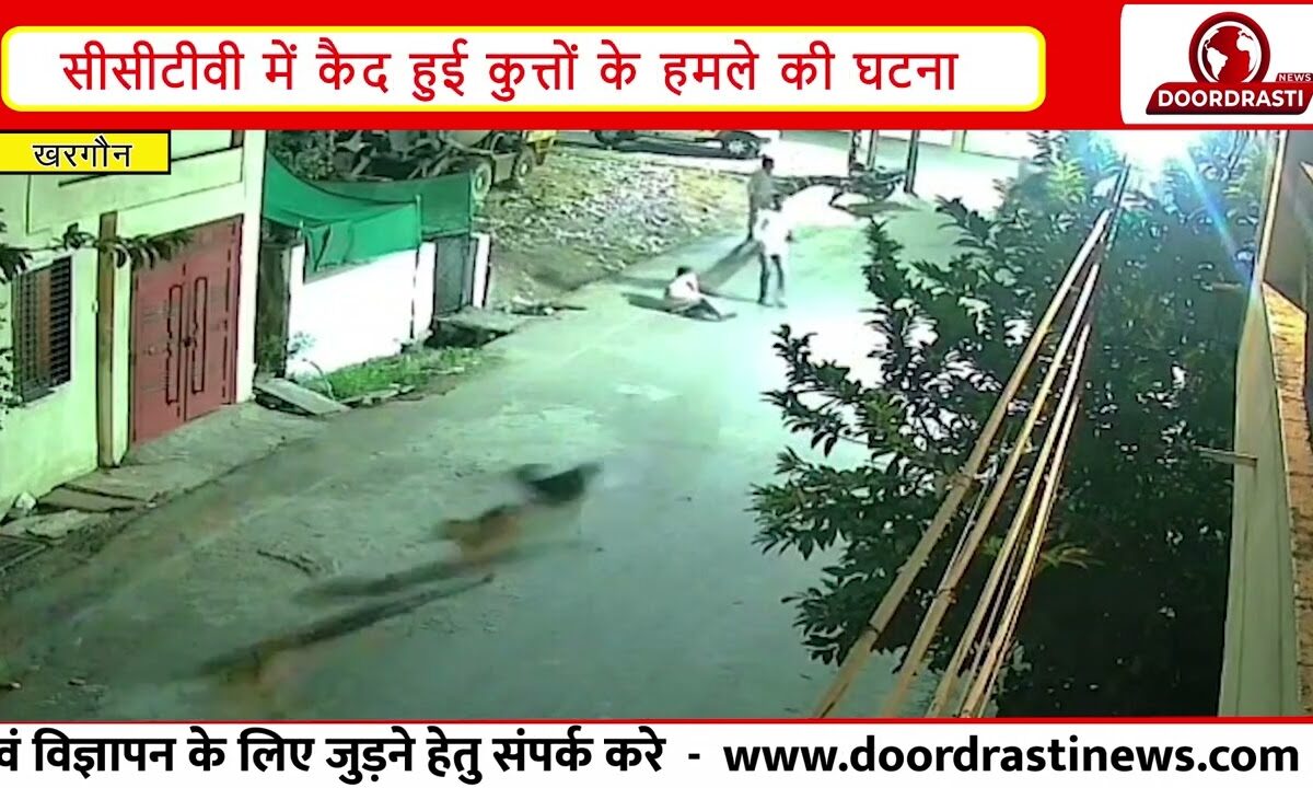 खरगोन में आवारा कुत्तों का हमला | बुजुर्ग महिला पर टूट पड़े 5 कुत्ते, CCTV में कैद घटना |