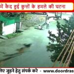 खरगोन में आवारा कुत्तों का हमला | बुजुर्ग महिला पर टूट पड़े 5 कुत्ते, CCTV में कैद घटना |