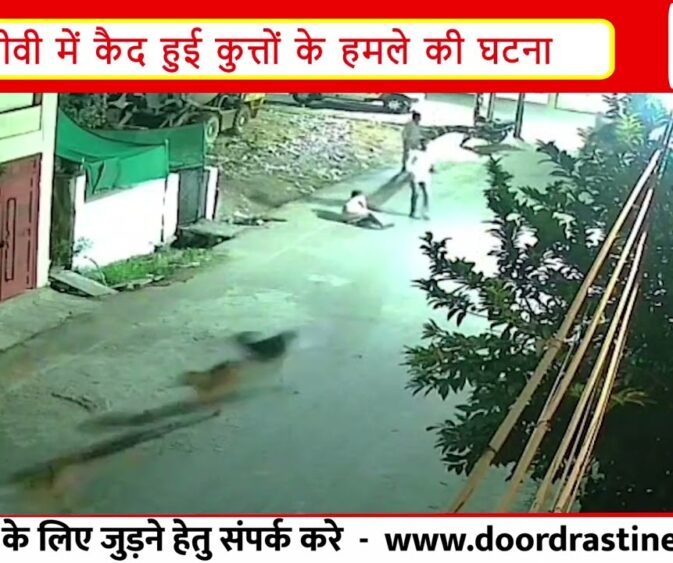 खरगोन में आवारा कुत्तों का हमला | बुजुर्ग महिला पर टूट पड़े 5 कुत्ते, CCTV में कैद घटना |