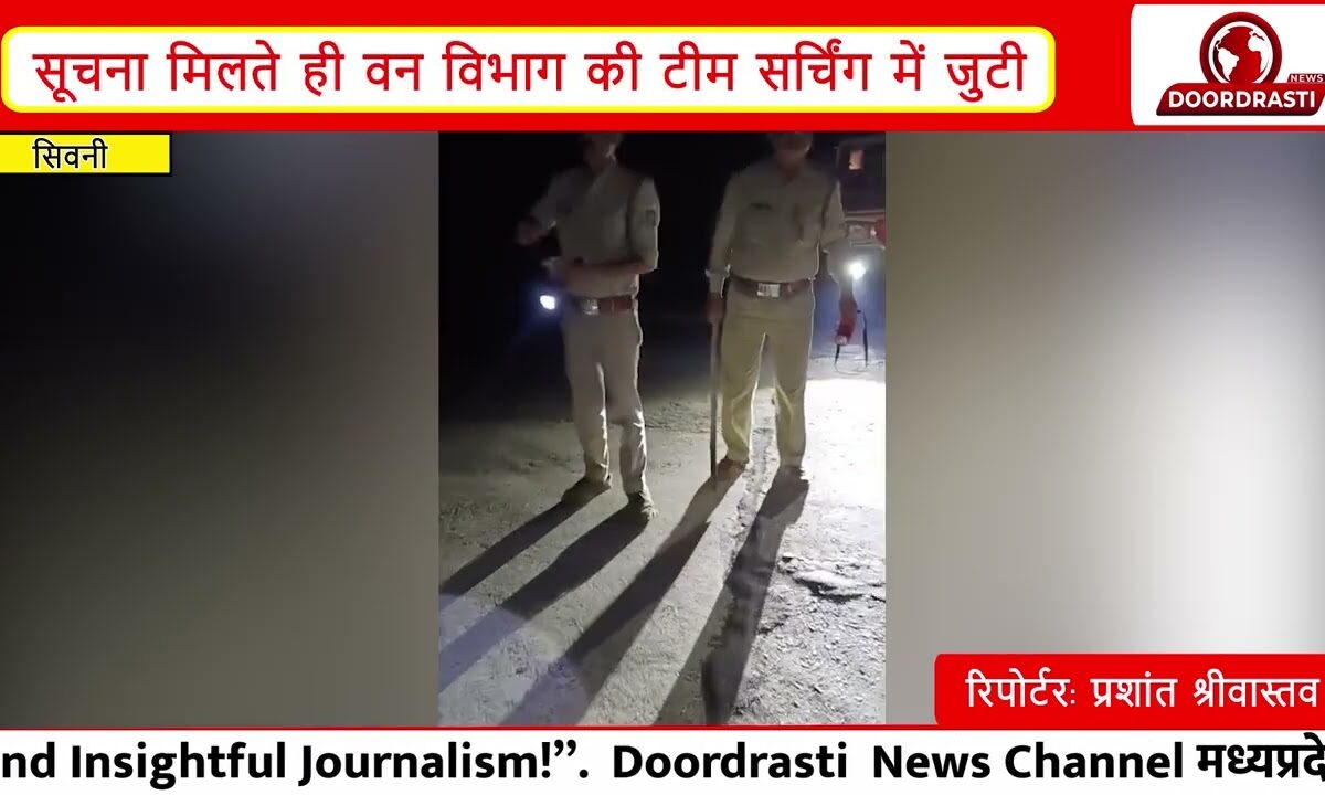 सिवनी के केवलारी में तेंदुए की दहशत | लालोपार गांव में दिखा Leopard, वन विभाग की सर्चिंग जारी |