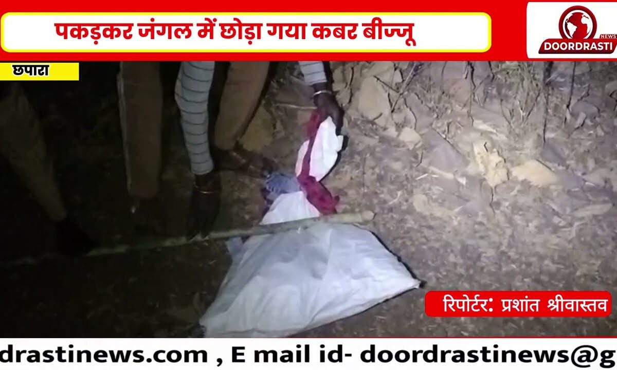 छपारा में घर में घुसा कबर बीज्जू | खेरमाई मंदिर के पास मचा हड़कंप | वन विभाग ने किया रेस्क्यू..