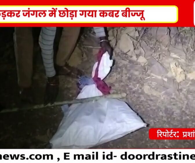 छपारा में घर में घुसा कबर बीज्जू | खेरमाई मंदिर के पास मचा हड़कंप | वन विभाग ने किया रेस्क्यू..