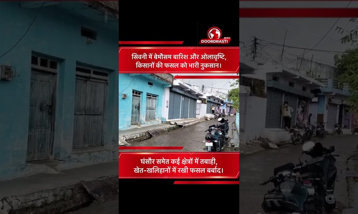 सिवनी में ओलावृष्टि से फसल तबाह | किसानों को भारी नुकसान