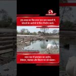 सिवनी में 25 लाख का भैंस स्नान घाट, भ्रष्टाचार के आरोपों में घिरा