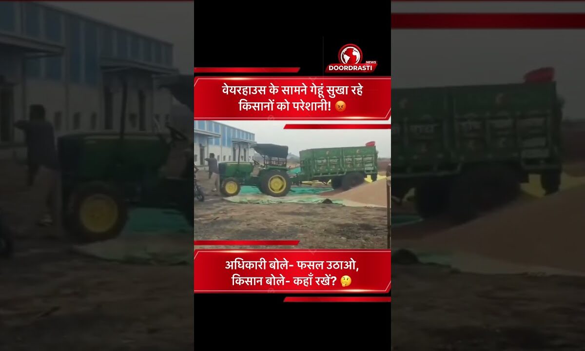 वेयरहाउस के बाहर गेहूं सुखा रहे किसान, अधिकारियों ने हटाने को कहा | सिवनी में विवाद