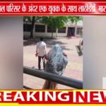 टीकमगढ़ हॉस्पिटल में युवक से मार पीट