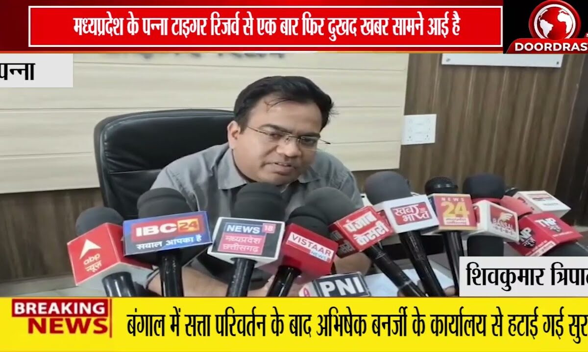 पन्ना टाइगर रिजर्व में युवा बाघ की संदिग्ध मौत | 15 दिनों में दूसरी घटना से बढ़ी चिंता 🐅🚨