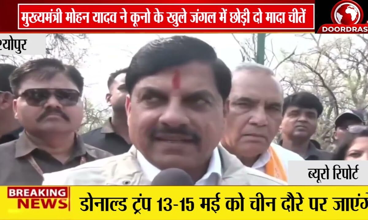 श्योपुर में कुनो नेशनल पार्क में छोड़ी गईं मादा चीते | मुख्यमंत्री मोहन यादव रहे मौजूद 🐆🚨