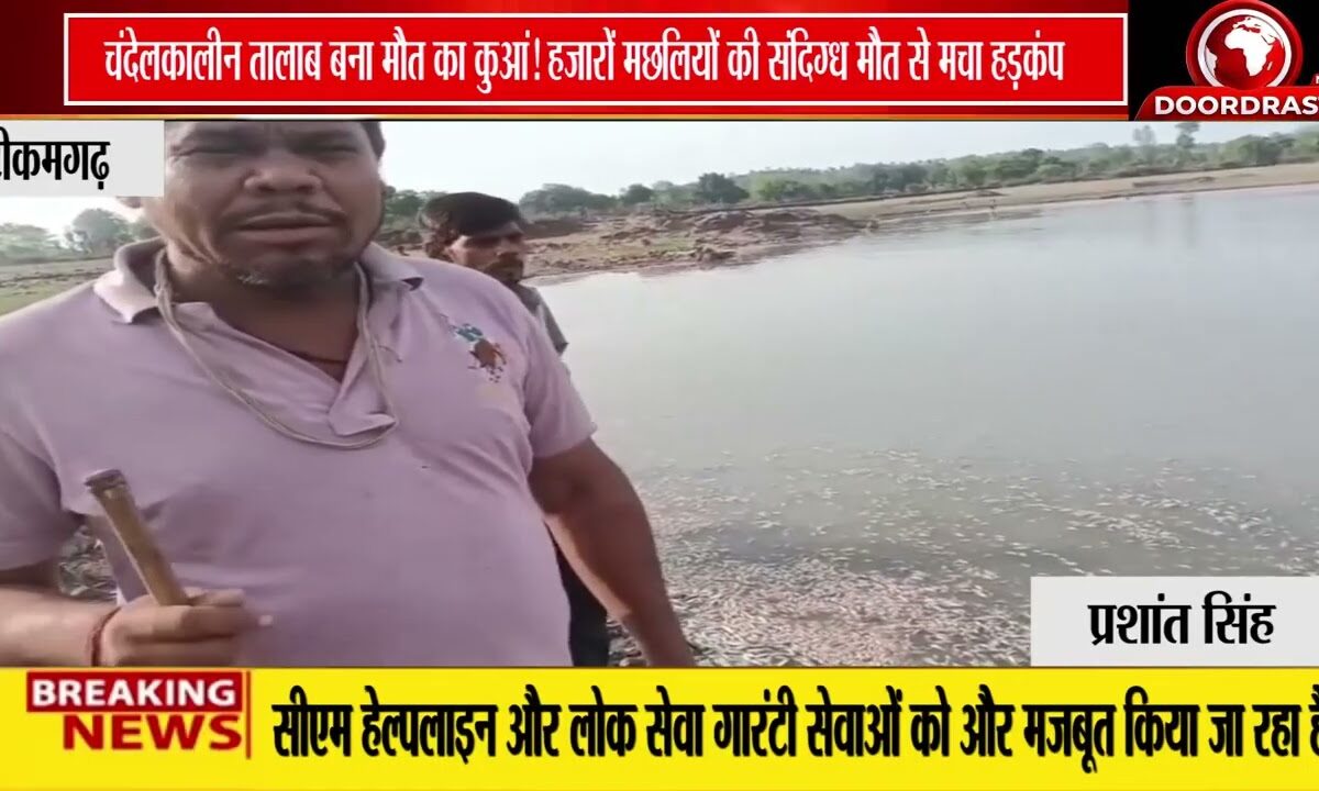 चंदेलकालीन तालाब में संदिग्ध जहर से मछलियों की मौत, ग्रामीणों ने ठेकेदार पर लगाए गंभीर आरोप