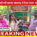 बांधवगढ़ के जंगल में टाइगर "तारा" का हुआ दीदार, पर्यटकों में खुशी की लहर