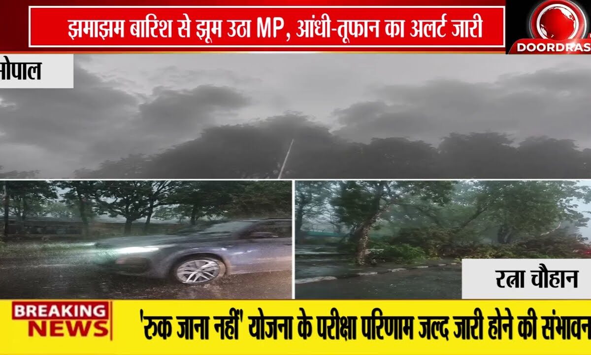 झमाझम बारिश से झूम उठा MP, आंधी-तूफान का अलर्ट जारी, गर्मी से मिली आजादी