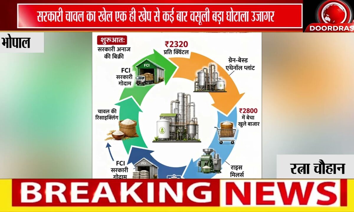 MP में कथित चावल घोटाला, SIT जांच में बड़ा नेटवर्क सामने आया