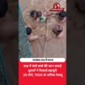 उफनती बाढ़ से बच्चे को बचाया! वलसाड के युवकों की बहादुरी कैमरे में कैद