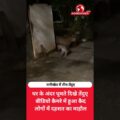 घर में घुस गए तीन तेंदुए! रानीखेत का वीडियो देख दहल जाएंगे