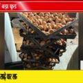 भोपाल में बेकरी फैक्ट्री सील