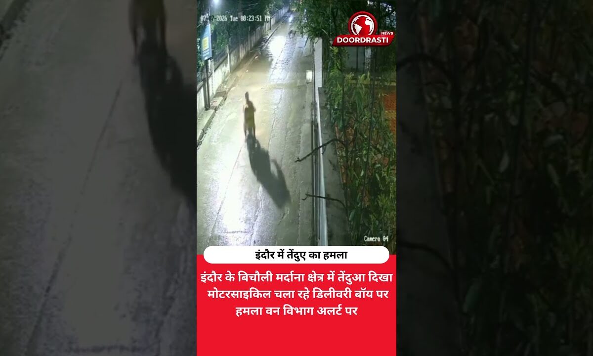 इंदौर में तेंदुए का हमला | डिलीवरी बॉय घायल