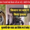 बालाघाट में बाघ का आतंक! | किसान की मौत, 2 मवेशियों का शिकार