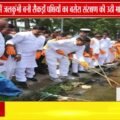 भोपाल के बड़े तालाब पर जलकुंभी में पक्षियों का बसेरा | संरक्षण की मांग
