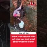 नोएडा में पानी के लिए नाले में उतरी लड़की | पानी संकट का वीडियो