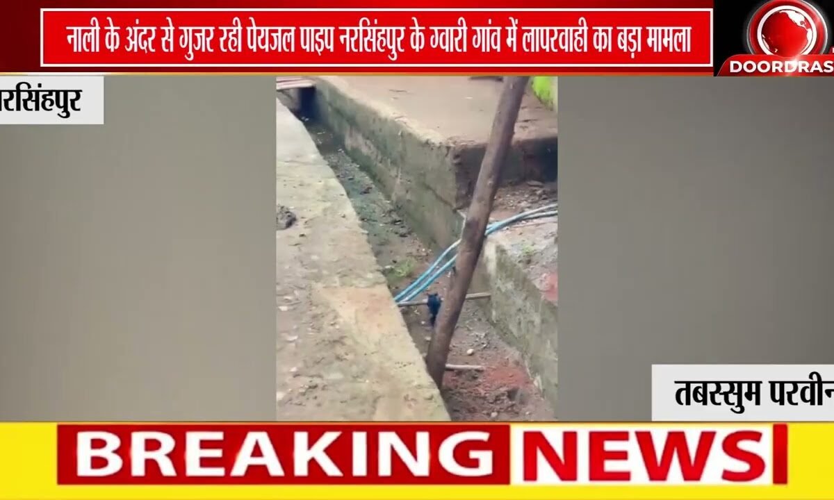 नरसिंहपुर में नल-जल योजना पर बड़ा सवाल | नाली के अंदर बिछी पाइपलाइन, ग्रामीणों ने जताई चिंता