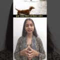 खंडवा में सिस्टम पर भौंका 'इंसानी कुत्ता' !