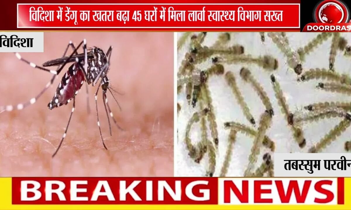विदिशा में डेंगू अलर्ट! | 45 घरों में मिला मच्छरों का लार्वा, स्वास्थ्य विभाग ने जारी किए नोटिस