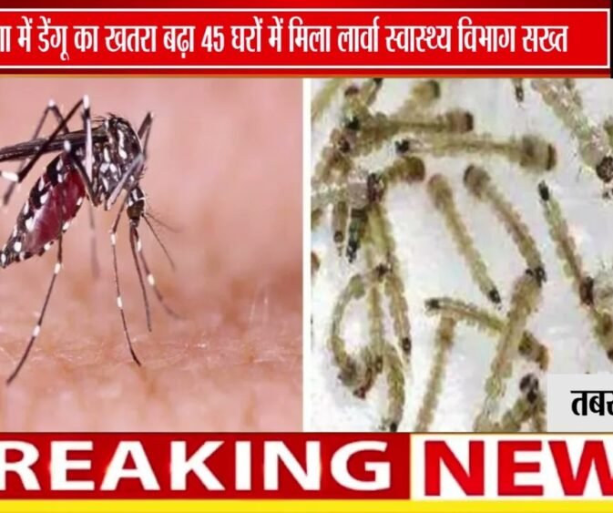 विदिशा में डेंगू अलर्ट! | 45 घरों में मिला मच्छरों का लार्वा, स्वास्थ्य विभाग ने जारी किए नोटिस