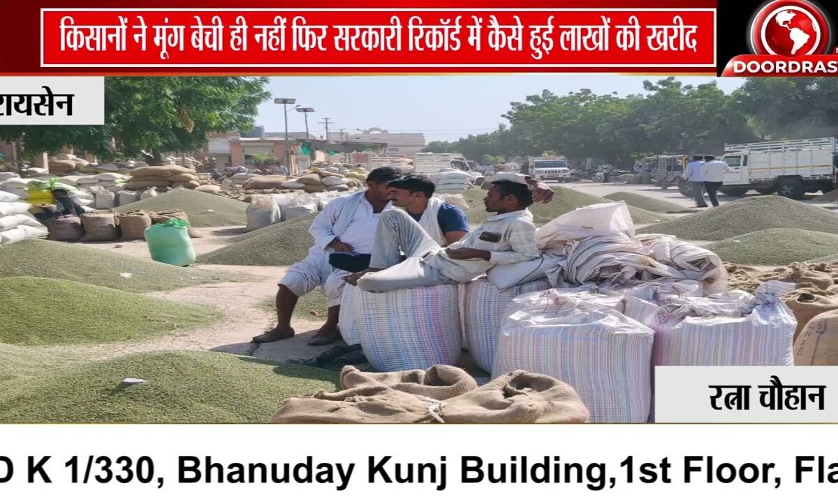 MP मूंग खरीदी में बड़ा फर्जीवाड़ा? किसानों के नाम पर लाखों की सरकारी खरीद का आरोप