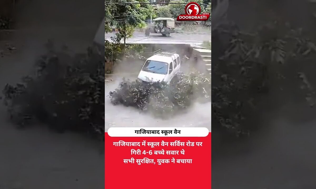 स्कूल वैन पेड़ तोड़कर नीचे गिरी, बच्चे अंदर थे; युवक ने बचाई जान