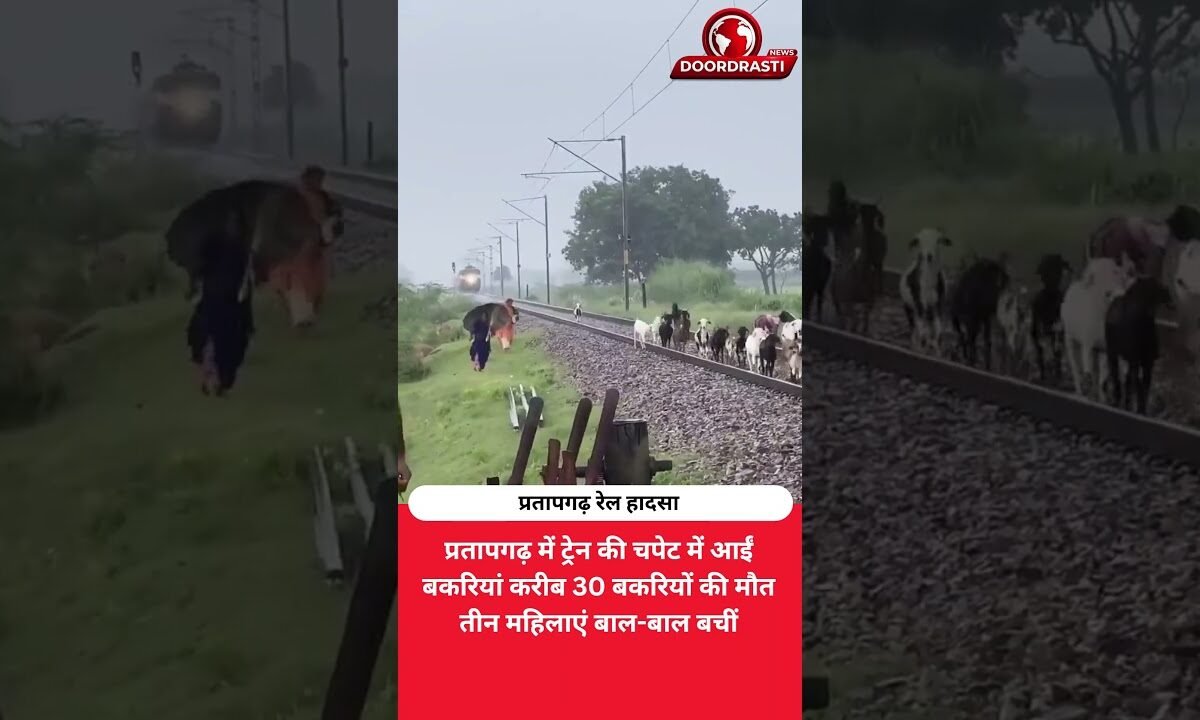 पटरी पर थीं बकरियां, तभी आ गई ट्रेन! प्रतापगढ़ में तीन महिलाएं बाल-बाल बचीं