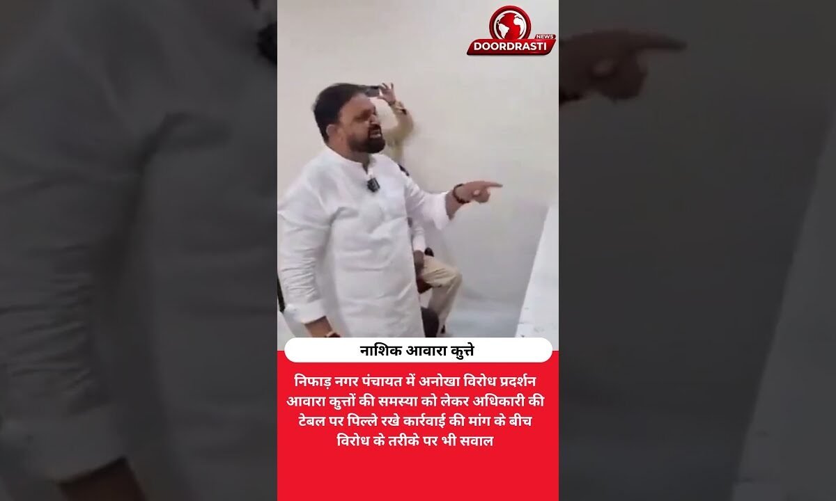 पिल्ले टेबल पर छोड़ दिए! नाशिक में आवारा कुत्तों के खिलाफ अनोखा प्रदर्शन