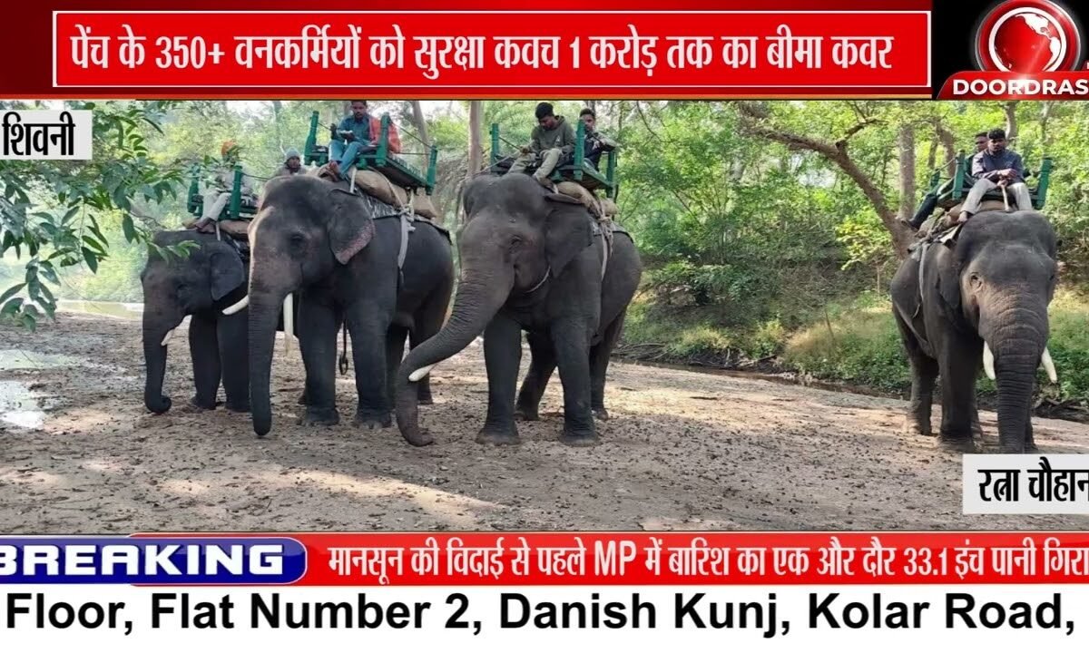 पेंच टाइगर रिजर्व के 350+ वनकर्मियों को SBI का सुरक्षा कवच, ₹1 करोड़ तक बीमा कवर