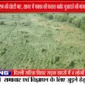 MP में सोयाबीन, उड़द के बाद मक्का भी बर्बाद