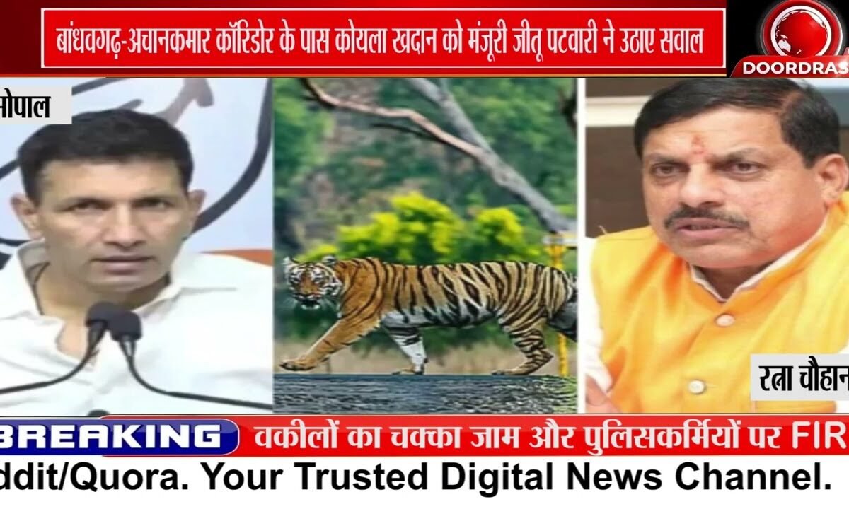 Tiger Corridor के पास Coal Mining पर जीतू पटवारी ने उठाए सवाल