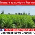 खरगोन में Operation Prahar, ₹3 करोड़ का गांजा जब्त